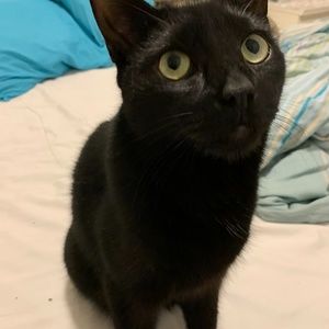 Meet your Posher, HQ